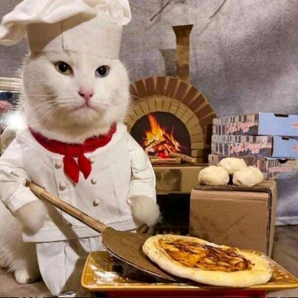 Profile Picture of Meredith Beesing (@mlbees330) on Tiktok