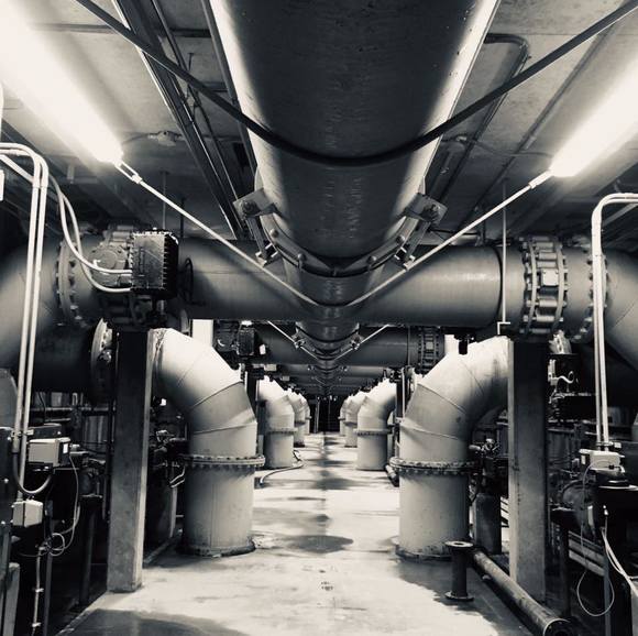 Profile Picture of Nick Daunhauer (@nickdaunhauer) on Poshmark