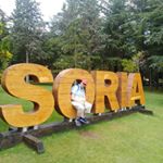 David  iscar Monforte - Instagram Profile Picture of David  iscar Monforte (@davidiscarmonforte) on Instagram