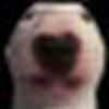 Profile Picture of joe (@@bobgrabber) on Tiktok