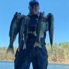 Profile Picture of Allen Coley (@@allencoley) on Tiktok