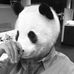 Profile Picture of Edward Choe (@edward.choe.56) on Facebook