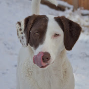 Profile Picture of April Hansen (@aprilhansen7273) on Youtube