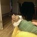Profile Picture of Alex Roebuck (@alexroebuck0191) on Pinterest