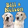 Profile Photo of Bill & Nelson (@billandnelson) on Tiktok