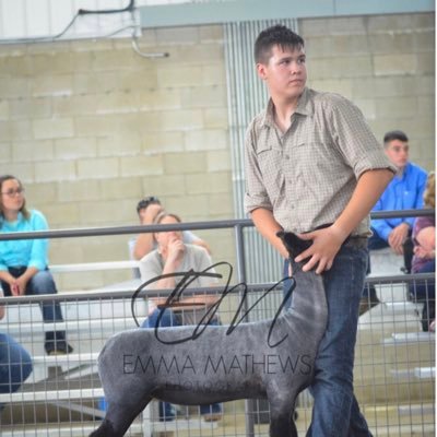 Profile Picture of Aaron Rohrer (@AaronRohrer5) on Twitter