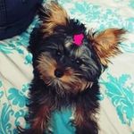 Profile Picture of Arleta Żurawska (@arletazurawska) on Instagram