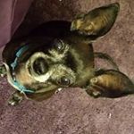 Profile Picture of Cathy Rabroker Crenshaw (@cathyrabroker) on Instagram
