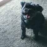 Profile Picture of tammybenoit (@tammybenoit6045) on Instagram