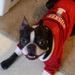 Profile Picture of Peter Bacon (@peterbacon) on Pinterest
