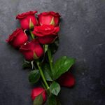 Profile Picture of Jenisha 🥰 (@kimsharma_li) on Instagram