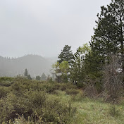 Profile Picture of Tyler Ryan (@TylerRyan-o2o) on Youtube