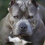 Profile Picture of Chad Latiolais (@latiolaischad) on Instagram