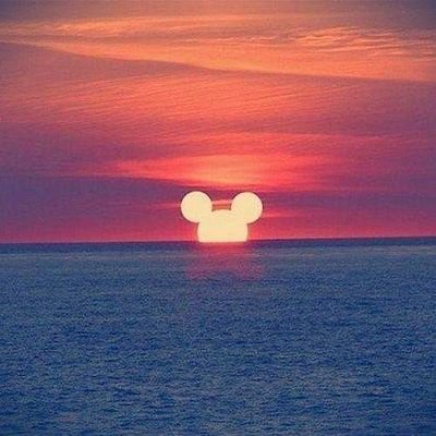 Profile Picture of Lori Franz (@loriafranz) on Twitter