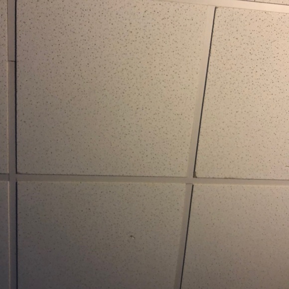 Profile Picture of Erik Geile (@eageile) on Poshmark