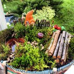 Profile Picture of Cushing Todd (@intcatiofi) on Instagram