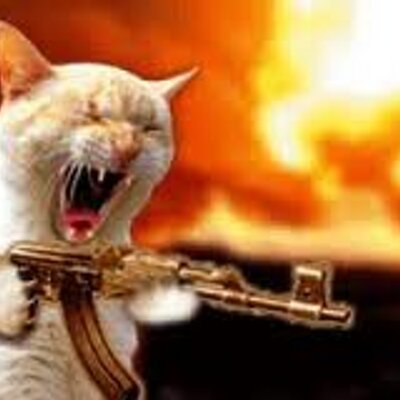 Profile Picture of Denis Main (@AngelusMain) on Twitter