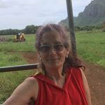 Profile Picture of Nancy P Linnet (@linnetnancy) on Instagram