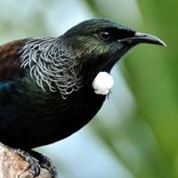 Profile Picture of Eryn Wilson (@eryn-wilson) on Quora