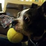 Profile Picture of Dwayne Jenkins (@jenkins_dwayne) on Instagram