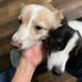 Profile Picture of Janet Kemmler (@janet.kemmler.3) on Facebook