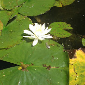 Profile Picture of Erin Schmidt (@erinschmidt1857) on Youtube