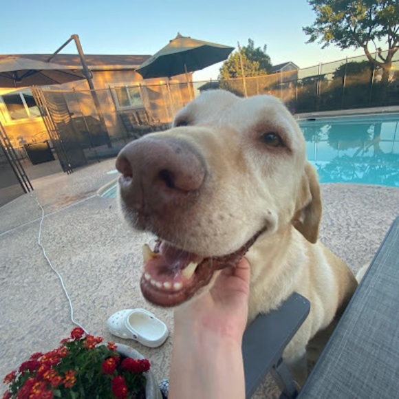 Profile Picture of Macy Freeborn (@414733) on Poshmark