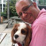 Profile Picture of David Wilding (@dpwilding) on Instagram
