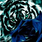 Profile Picture of Nancy Reichl (@gtino002) on Instagram