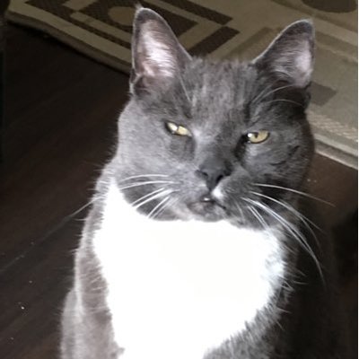 Profile Picture of Gerry McCarthy (@GerryMcCarthy14) on Twitter