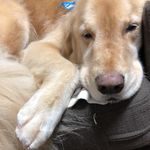 Mari Tanaka - Instagram Profile Picture of Mari Tanaka (@maritanaka6) on Instagram