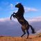Profile Picture of Robert Fuhr (@robert.fuhr.79) on Facebook