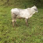 Profile Picture of Aldair Gracia (@aldair.gracia.5) on Facebook