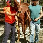 Profile Picture of Brian Eberhart (@bceberhart) on Instagram