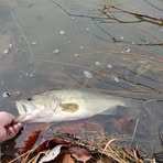 Profile Picture of Darrell Stacey (@Darrell-Stacey) on Facebook