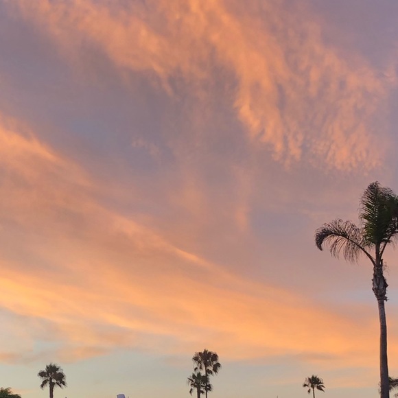 Profile Picture of Paulina Uribe (@paulinauribeg) on Poshmark