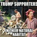 Profile Picture of Pete Paulsen (@pete.paulsen) on Instagram