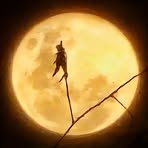 Profile Picture of Clipes Gerais (@PareceMentira0up) on Facebook