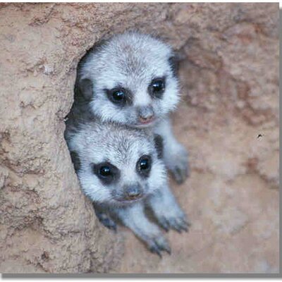 Profile Picture of Peggy Chase (@Peggy19Chase) on Twitter