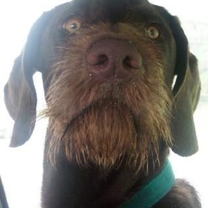 Profile Picture of Steve Matthews (@344235103) on Myspace