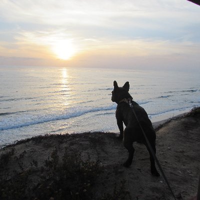 Profile Picture of Emmett Moore (@tradingschoolsO) on Twitter