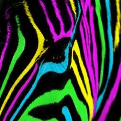 Profile Picture of Jacob Boren (@JacobBoren24) on Twitter