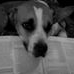Profile Picture of Keith Borgert (@keith.borgert.3) on Facebook