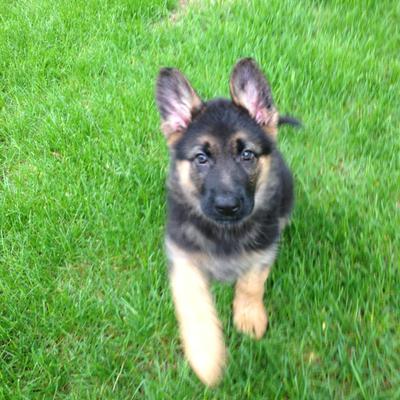 Profile Picture of Jonathan Keck (@jdkeck25) on Twitter