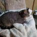 Profile Picture of Marilyn Tepner (@marilyn.tepner.1) on Facebook