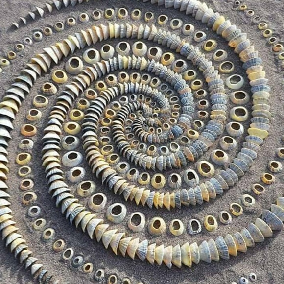 Profile Picture of Gus Hettig (@polybling) on Poshmark