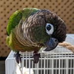 Profile Picture of Jesse Nault (@jessekins05) on Instagram