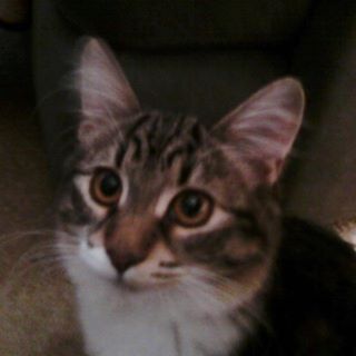 Profile Picture of Marylou Pelkey (@marylou.pelkey) on Facebook