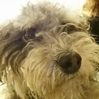 Profile Picture of Barrie Sutton Noe (@barrie-sutton-noe) on Quora