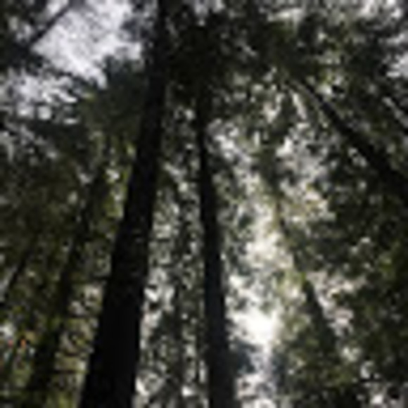 Profile Picture of Amanda Tremblay (@amandatrembl609) on Poshmark